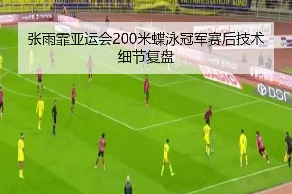 张雨霏亚运会200米蝶泳冠军赛后技术细节复盘